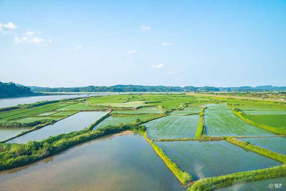 파주 장단콩마을