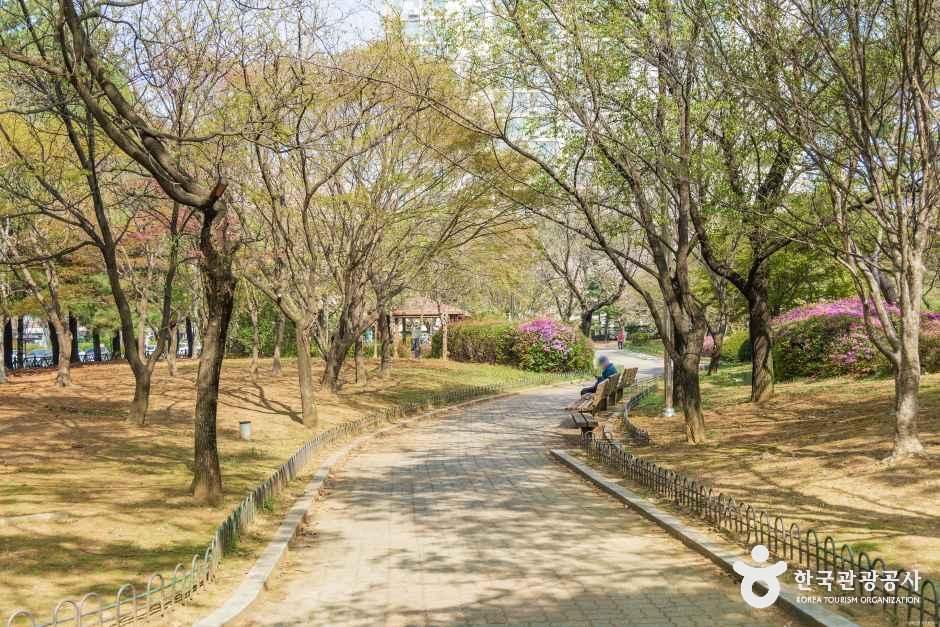 고양_알미공원 (4).jpg