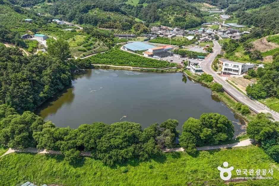 반곡지 - 경상북도 경산시 남산면 반곡리 246 관광 명소