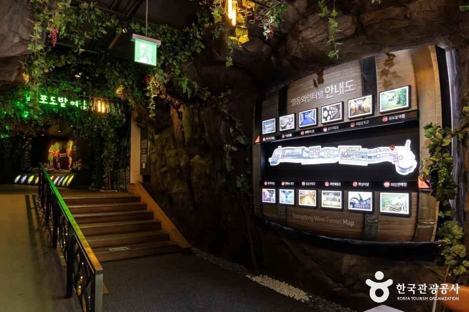 영동_영동 와인터널 (2).jpg