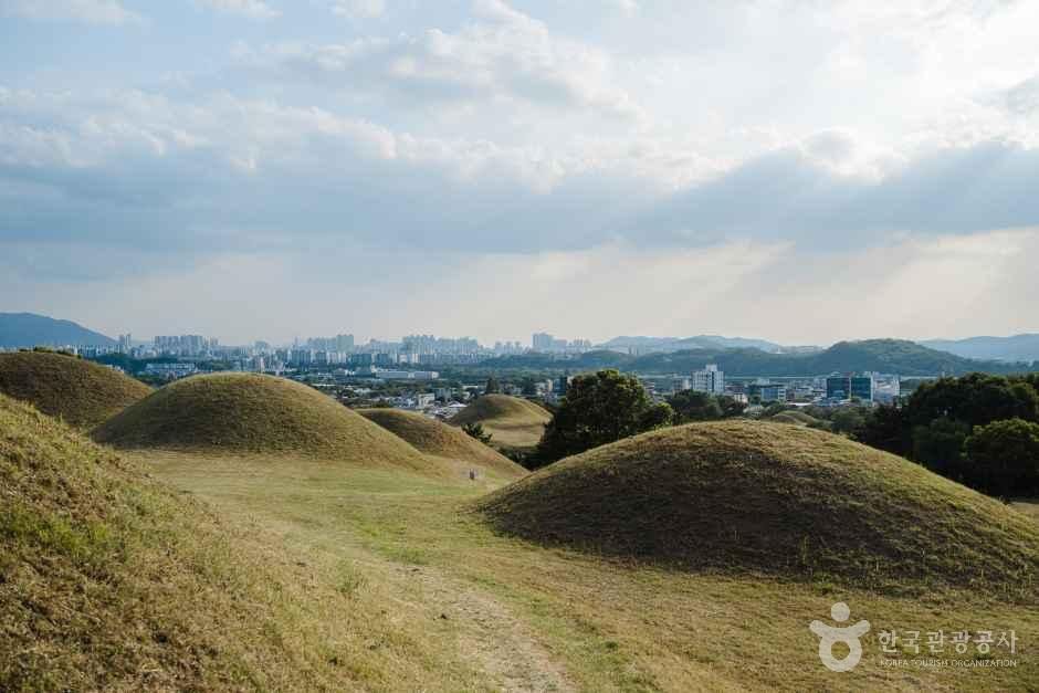 대구_동구_대구 불로동 고분군_외부_2.jpg