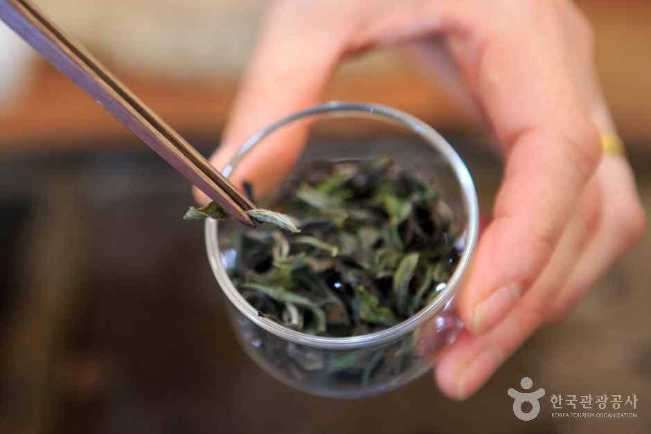 Organic Tea Leaves Nurtured by Pristine Nature