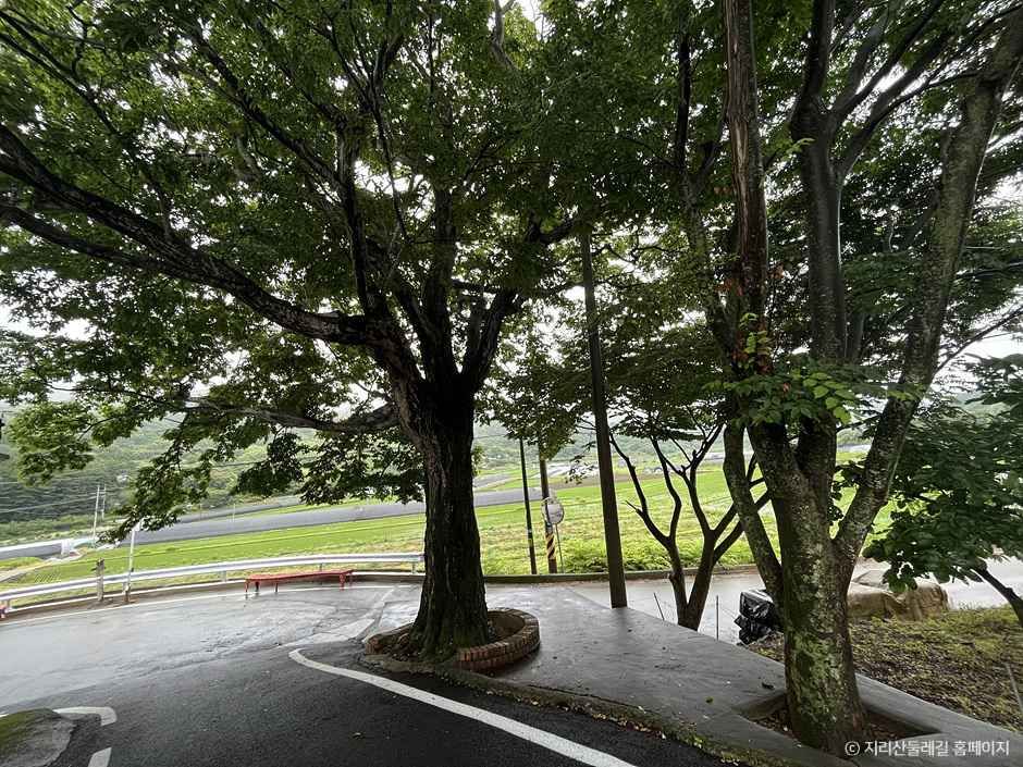 [지리산둘레길] 하동읍-서당
