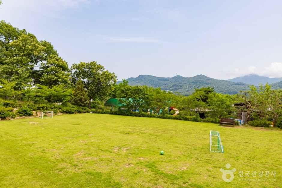 낭만에코파크 사진 2
