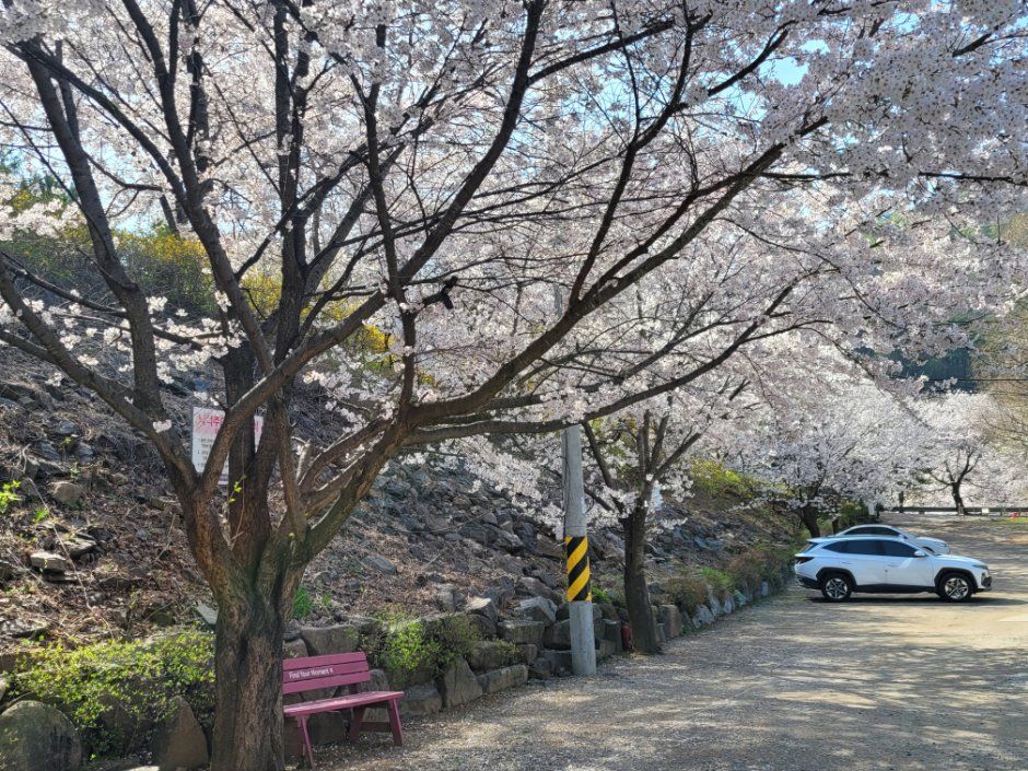 파주 기산캠프