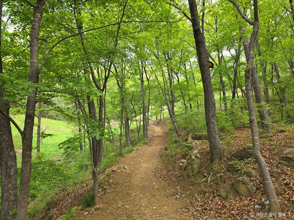 고령 주산성 사진 2