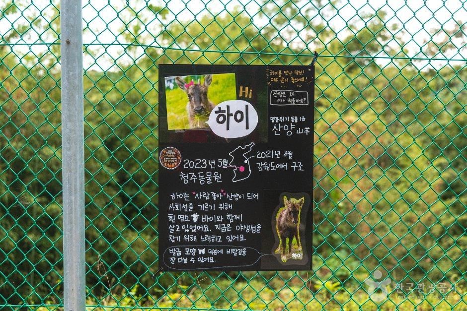 청주동물원