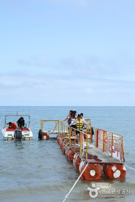 고래불해수욕장 고래불해수욕장