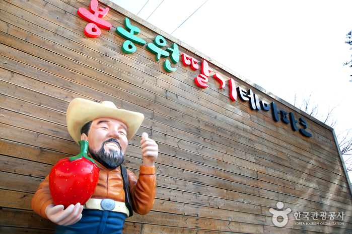 30년 노력으로 일으킨 딸기농장