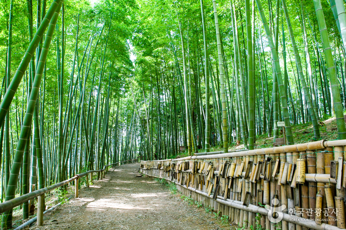 Тематический бамбуковый парк в Кочже