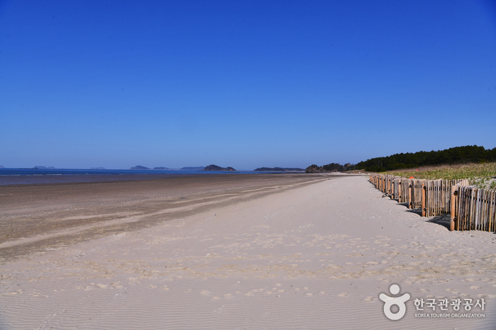 机池浦海水浴场