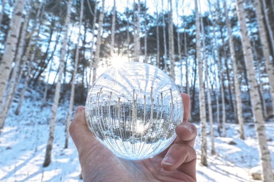 透明なガラス玉に映る白樺の森