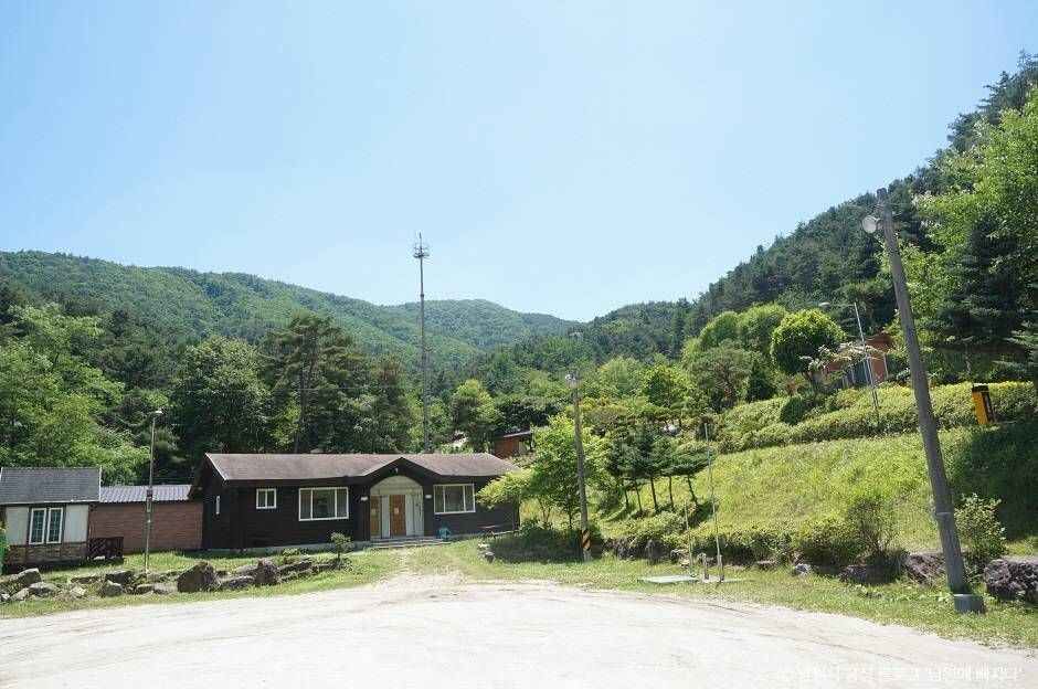 興夫谷自然休養林
