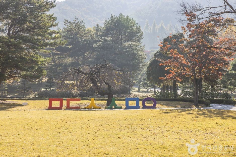 米东山树木园