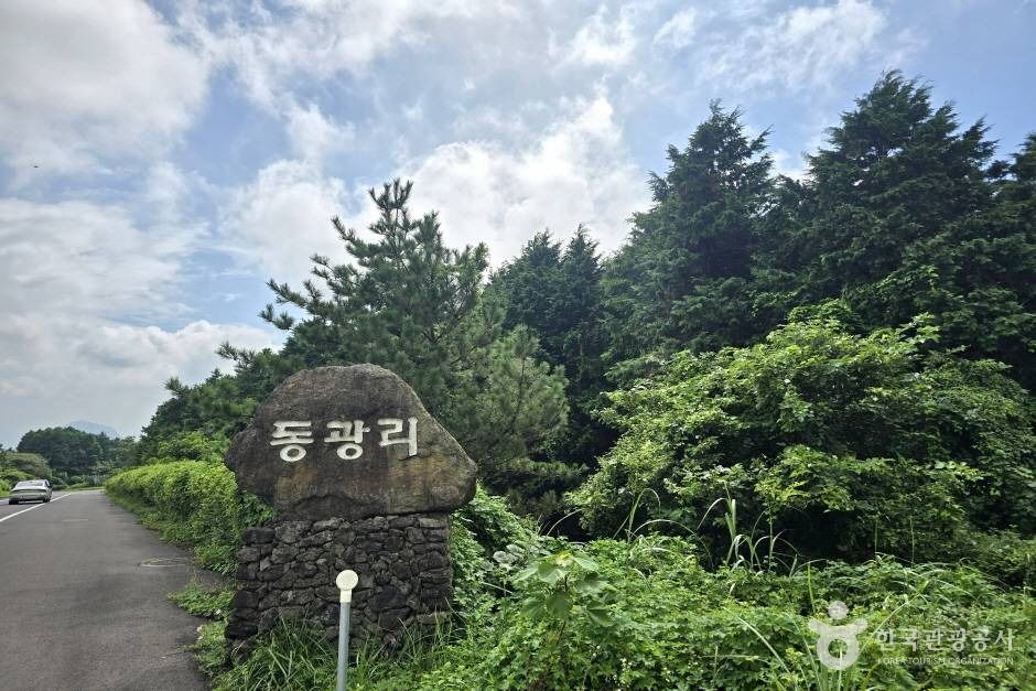加南奥鲁姆