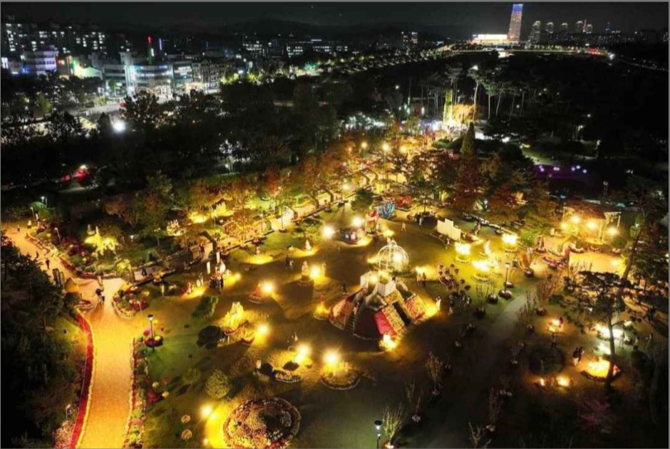 2025 유성국화축제 배경이미지