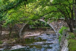 여수 흥국사 홍교