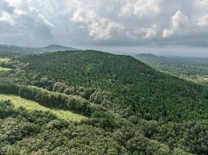 열안지오름(오라동)