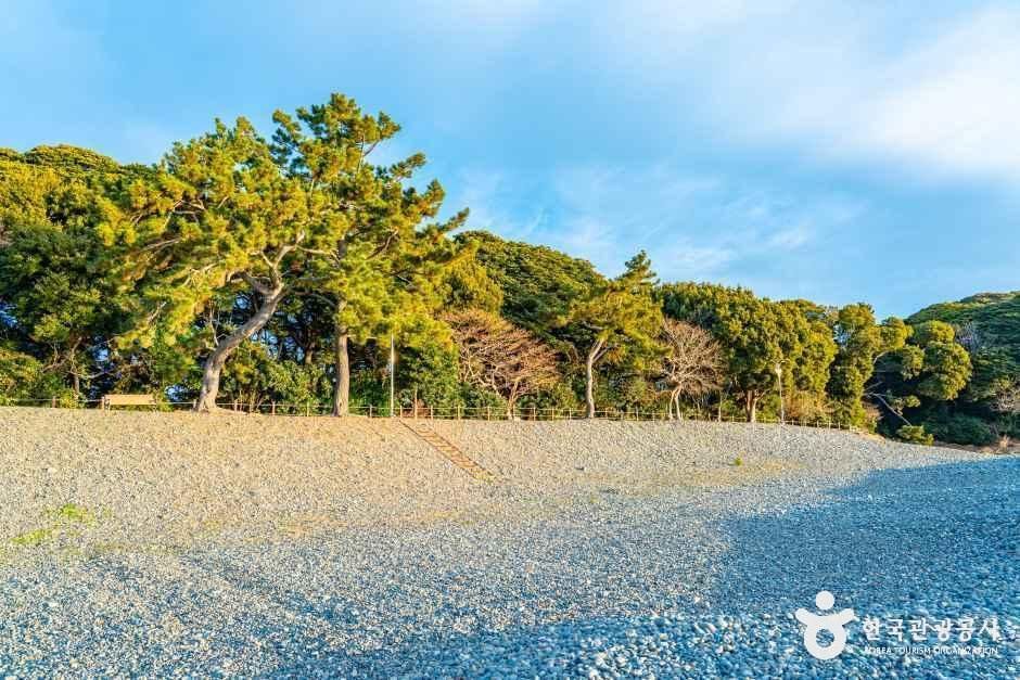 미라리해수욕장