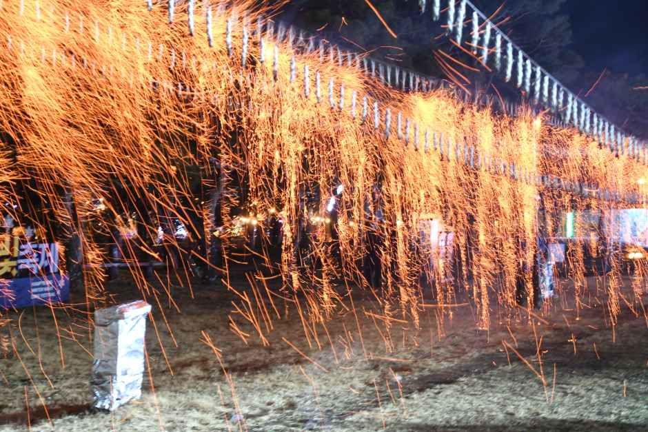 2026 함평 겨울빛축제 (1).JPG