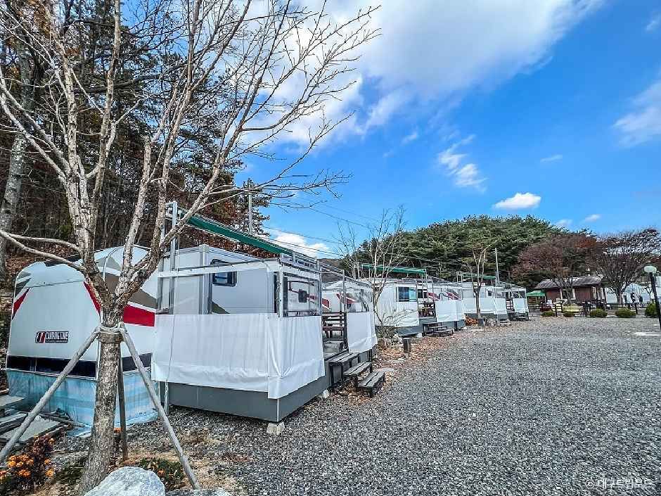 天下水城星爱营地