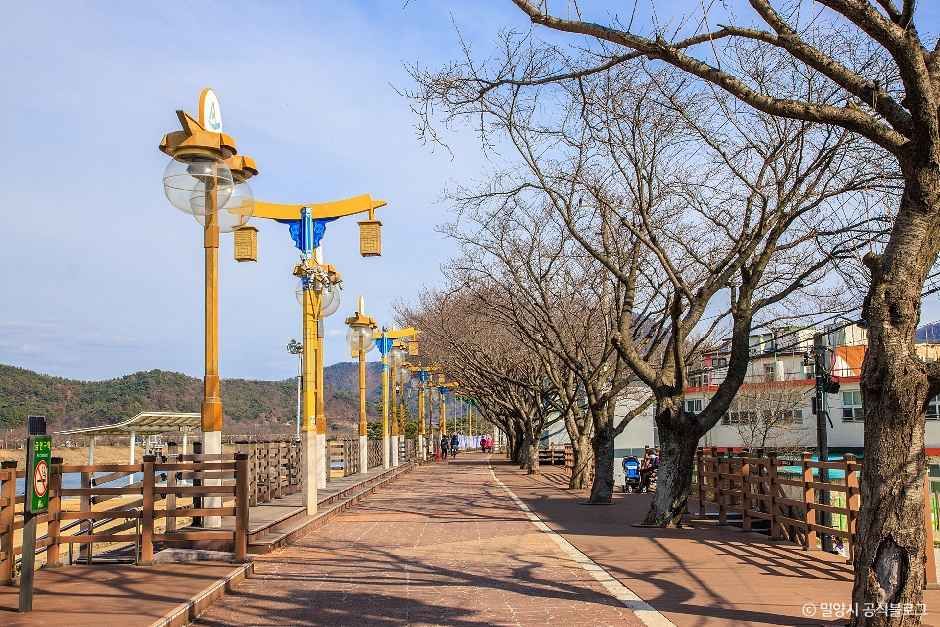 [밀양아리랑길 1코스] 영남루 수변공원길