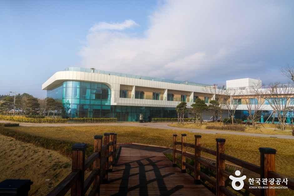 태안해양치유센터