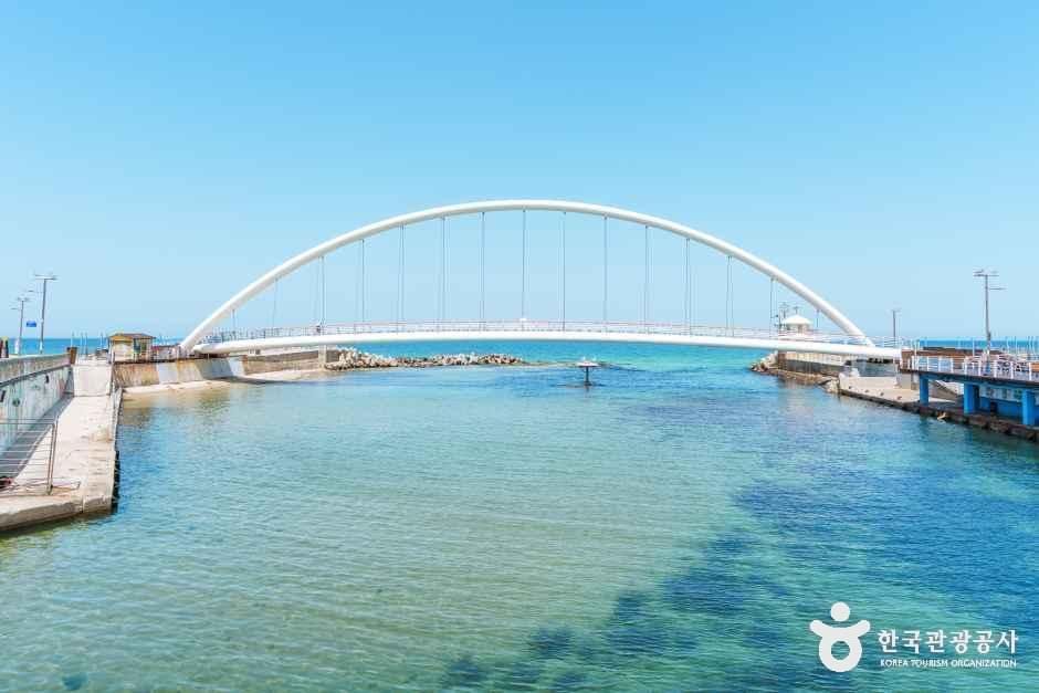 즐길거리 이미지