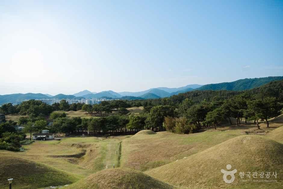 대구_동구_대구 불로동 고분군_외부_4 (1).jpg