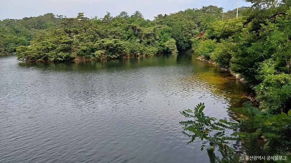 명덕호수공원
