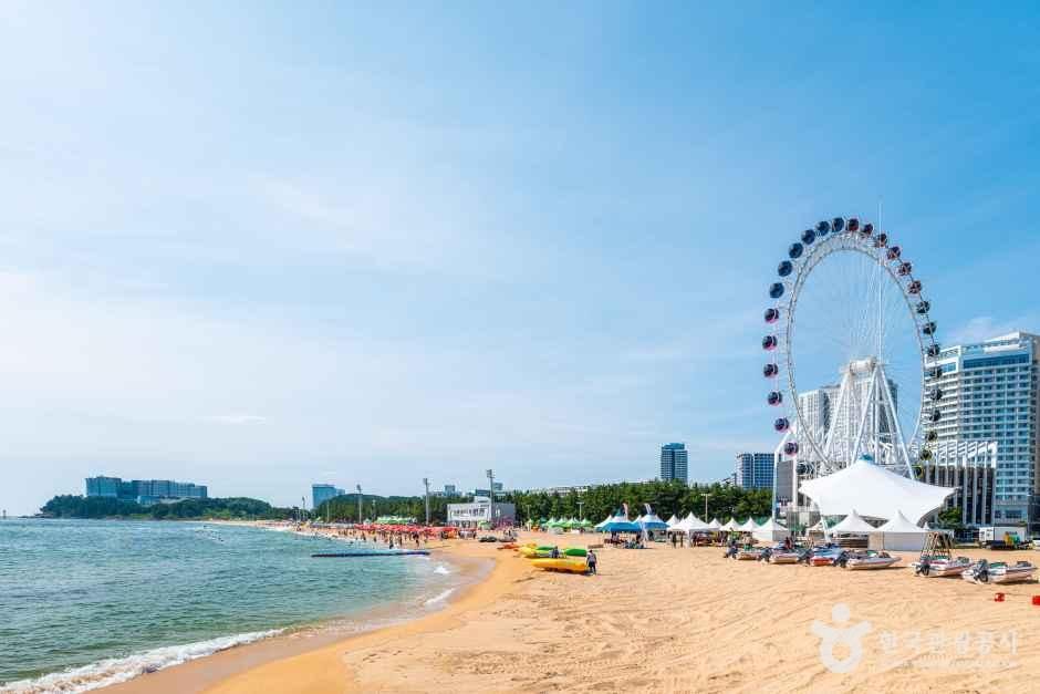 속초해수욕장 사진 2