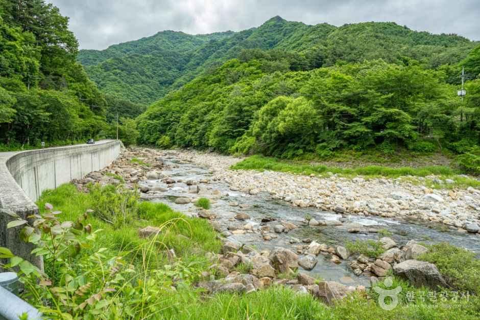 남원_심원계곡 (5).jpg