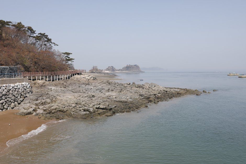 국화도