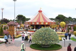 Grand Chrysanthemum Festival