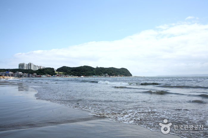 영일대해수욕장 영일대해수욕장