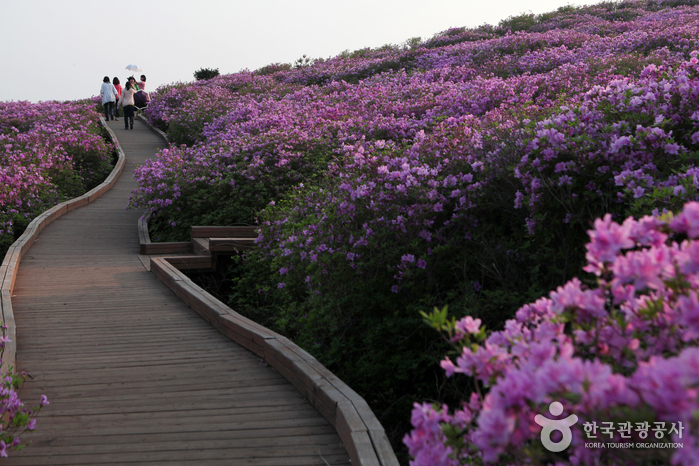 황매산(산청) 황매산(산청)