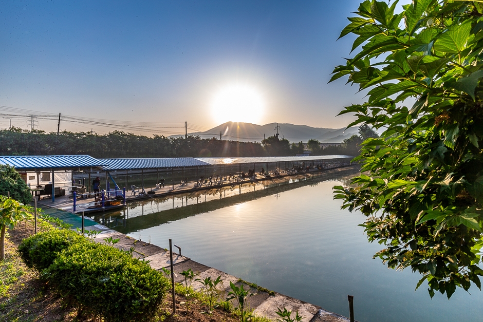 Samha Fishing Pond
