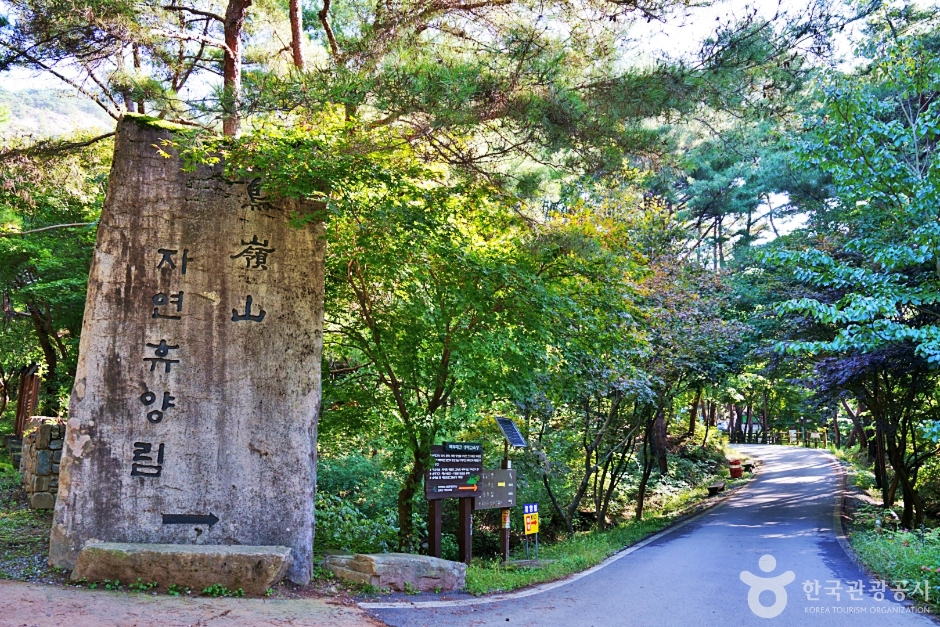 鸟岭山自然休养林