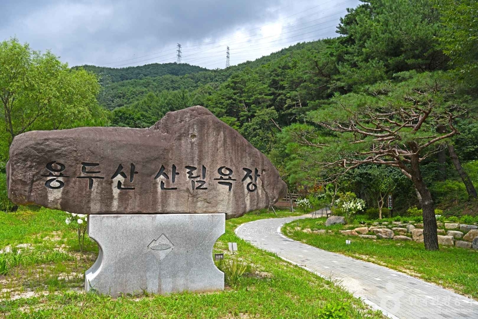 竜頭山 森林浴場