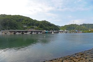 오십천하구 사진 5