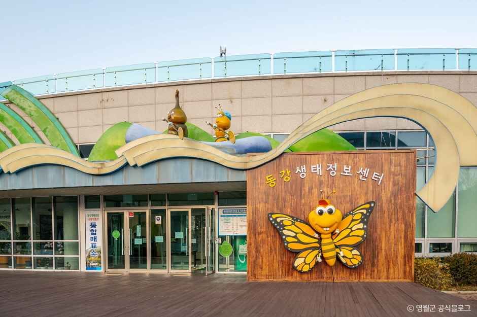 영월곤충박물관 사진 2