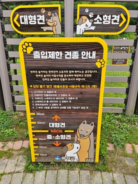 원남 반려견 놀이터 여행 추천 - 로드트립