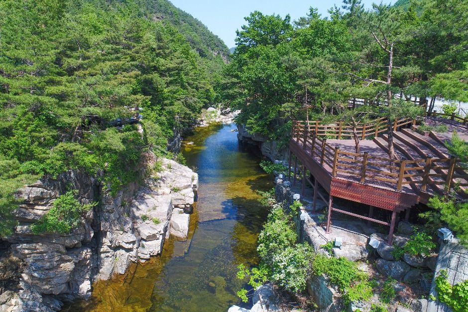 武陵 月光 虎岩沼路