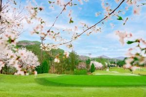 포천힐스컨트리클럽