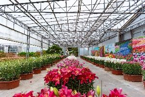 아산_세계꽃식물원 (4) 미리보기