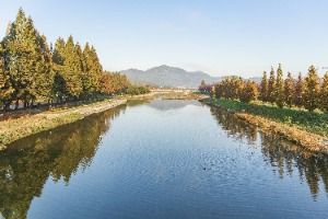 3574907 image3 1 예스키즈존 탐험대 : 실패 없는 육아여행