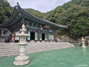 3576807 image3 1 예스키즈존 탐험대 : 실패 없는 육아여행