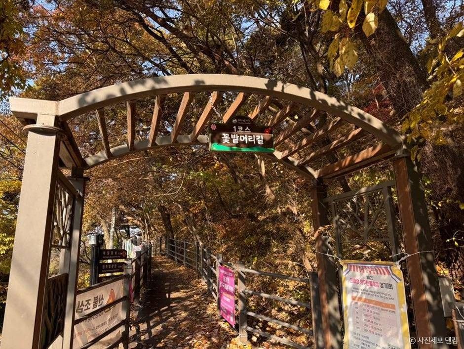 [雉岳山ドゥルレ道 1コース] 花畑の頭の道