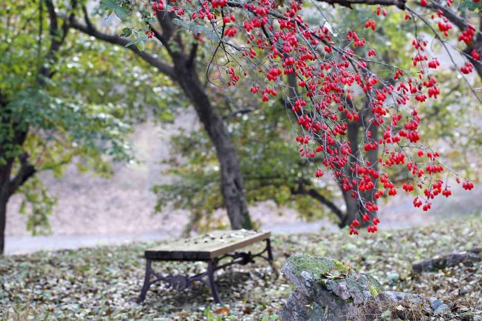 이천_산수유사랑채_전경 (1).JPG