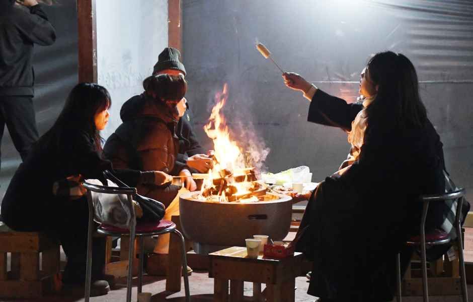 2026 함평 겨울빛축제 (2).JPG